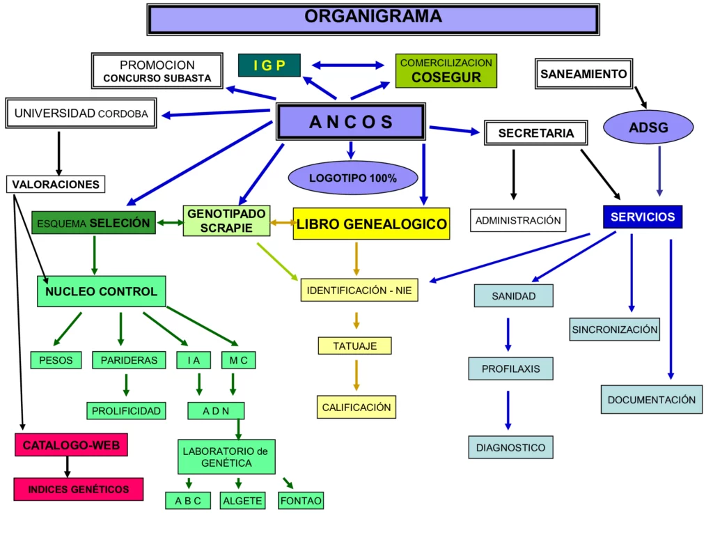 Asociación 9